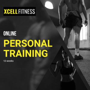 12 week online fitness program online